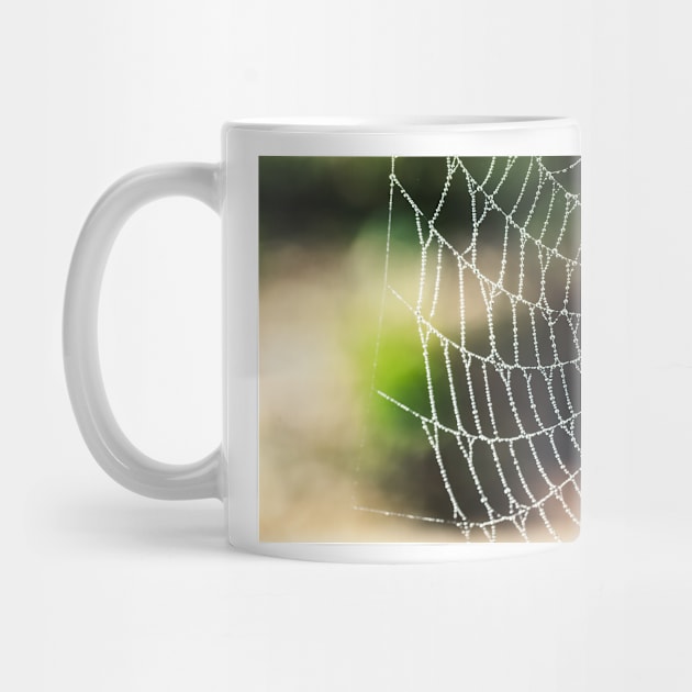 Arachnid artistic blur bokeh by mydesignontrack